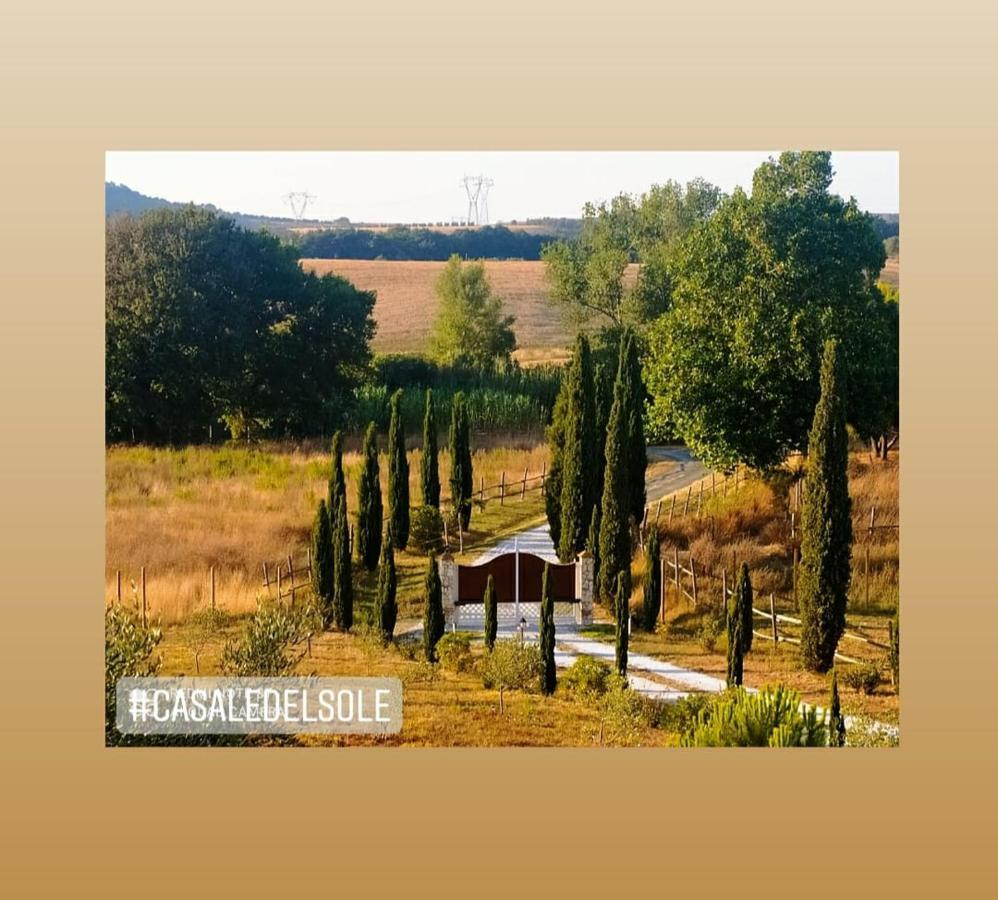 كاستيلينا ماريتيما Bed And Breakfast Casale Del Sole المظهر الخارجي الصورة