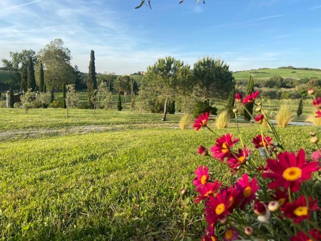 كاستيلينا ماريتيما Bed And Breakfast Casale Del Sole المظهر الخارجي الصورة
