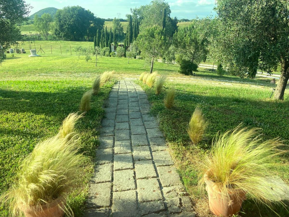 كاستيلينا ماريتيما Bed And Breakfast Casale Del Sole المظهر الخارجي الصورة
